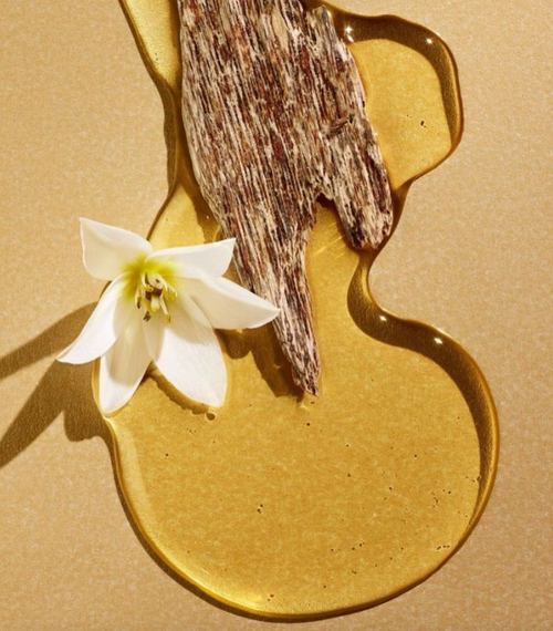 Coconut ʻIliahi Perfume - COMING SOON